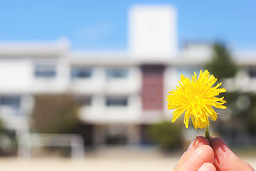 学校だより